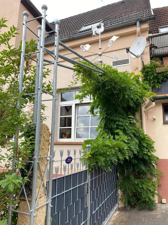 Pension - Gaestehaus Zum Pfaelzerwald 힌터바이덴탈 외부 사진