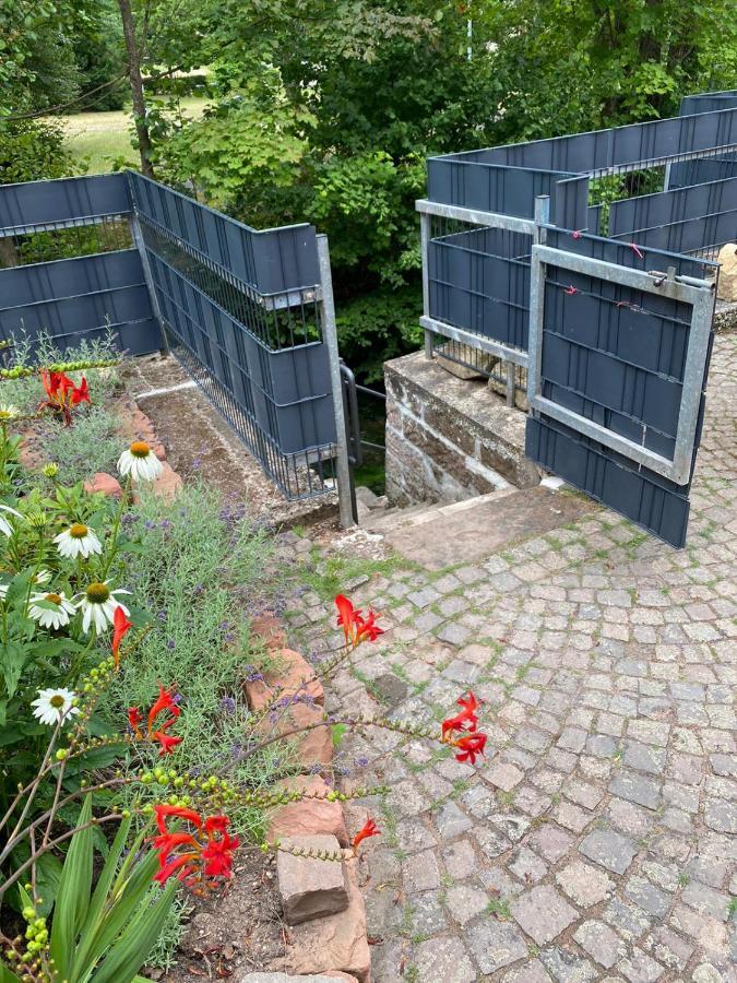 Pension - Gaestehaus Zum Pfaelzerwald 힌터바이덴탈 외부 사진