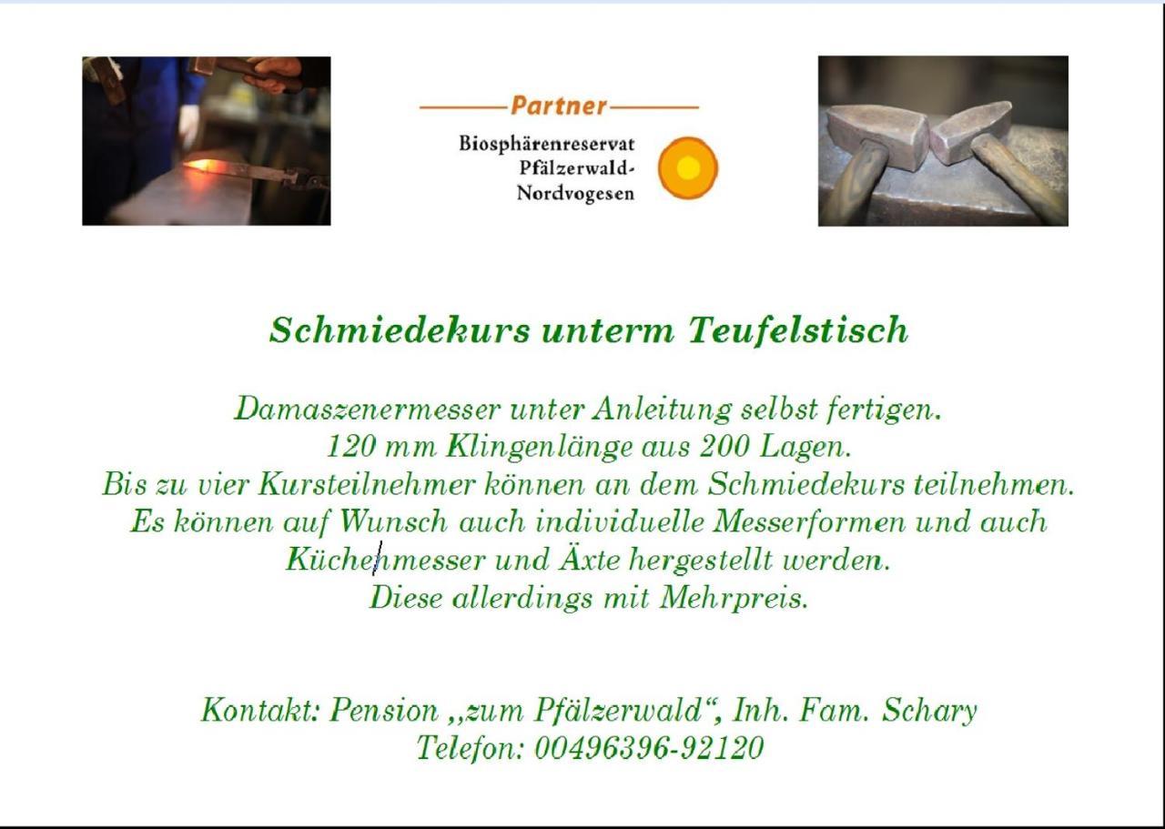 Pension - Gaestehaus Zum Pfaelzerwald 힌터바이덴탈 외부 사진