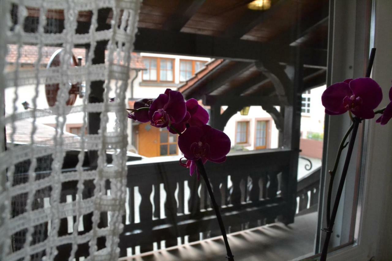 Pension - Gaestehaus Zum Pfaelzerwald 힌터바이덴탈 외부 사진